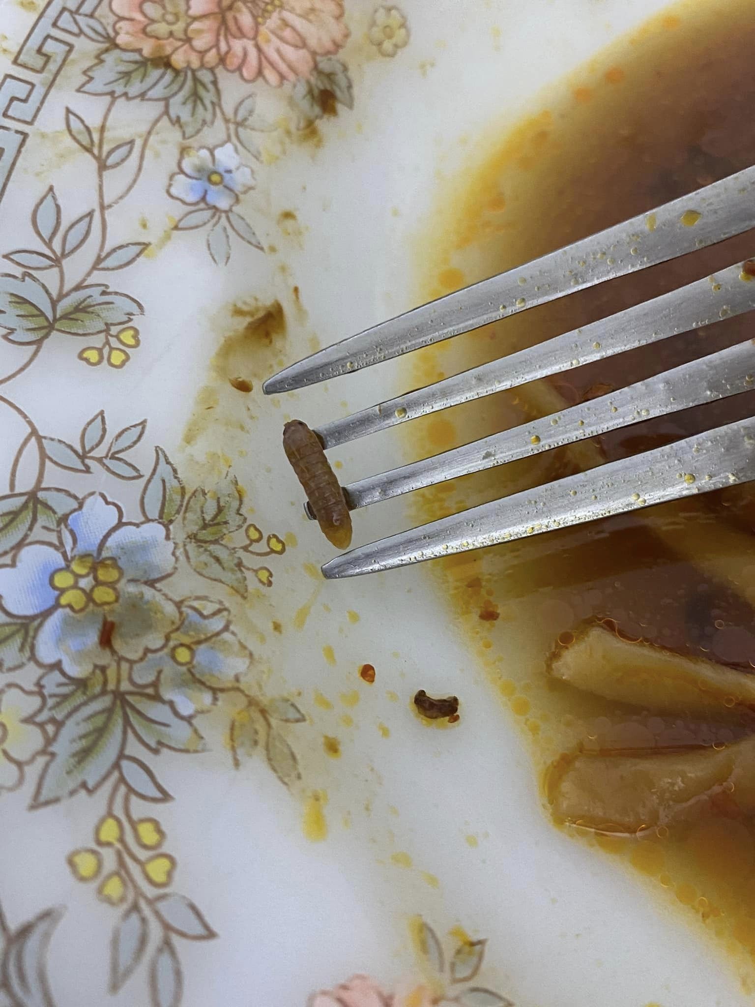 A tiny worm found in a meal
