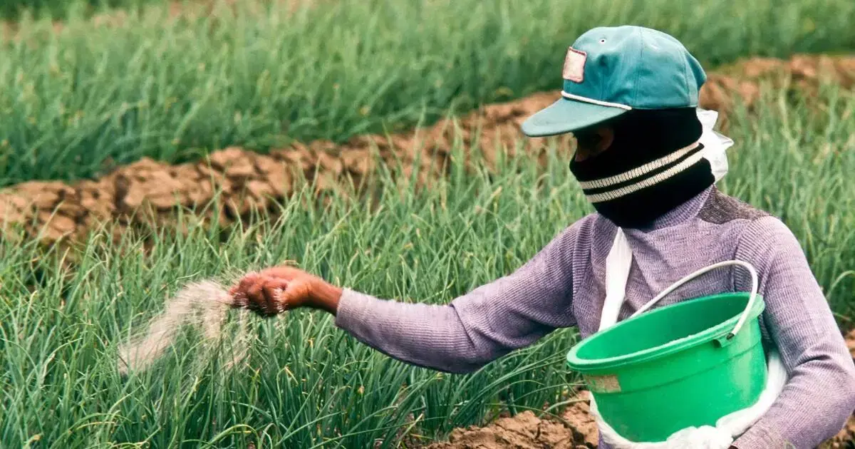 Agriculture wages