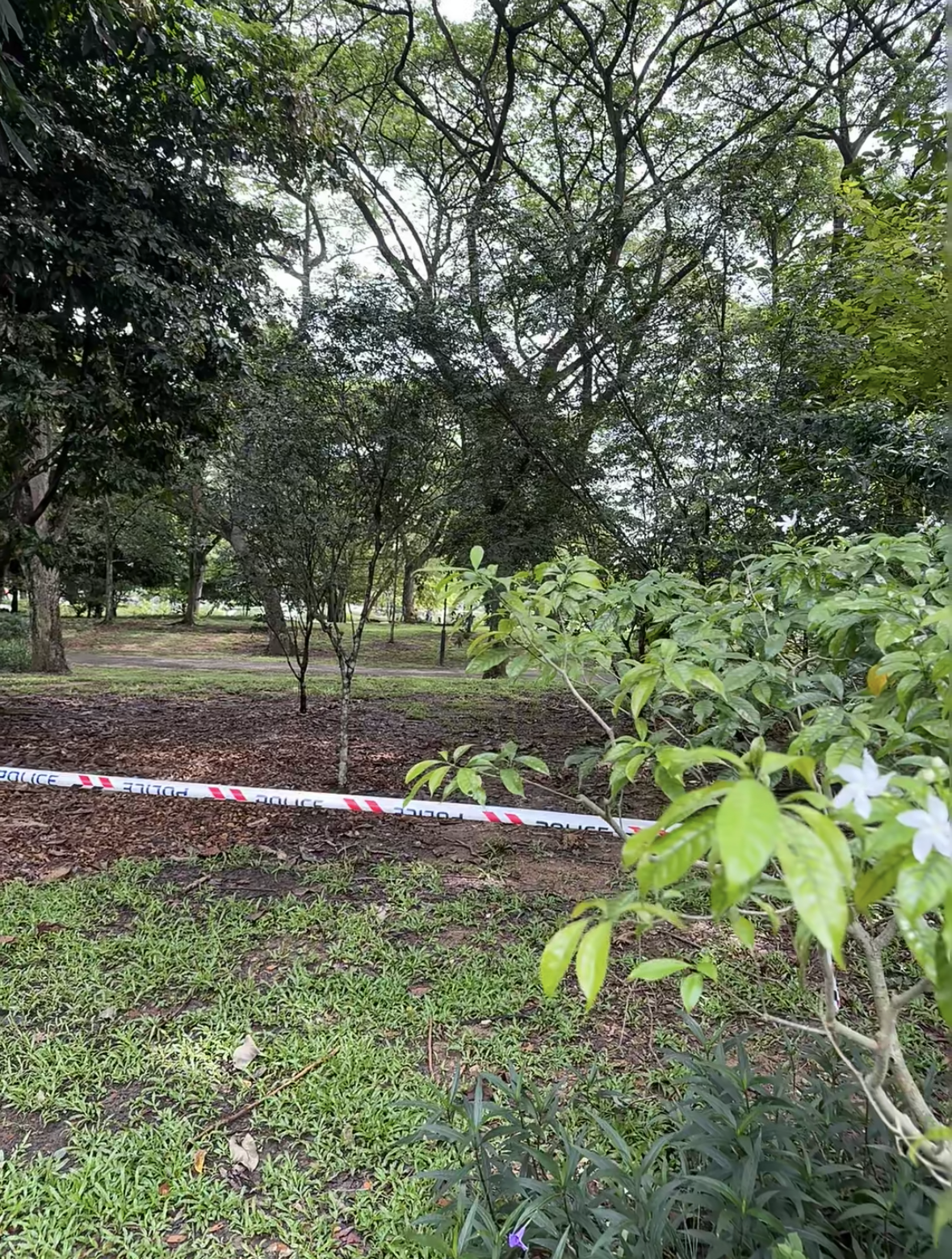 Area cordoned at jurong lake gardens