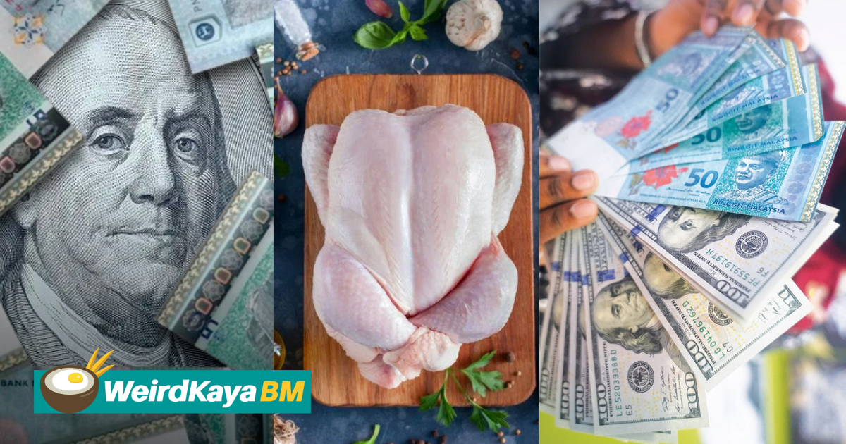 Ringgit makin kukuh, netizen tanya mengapa harga ayam tidak turun? | weirdkaya