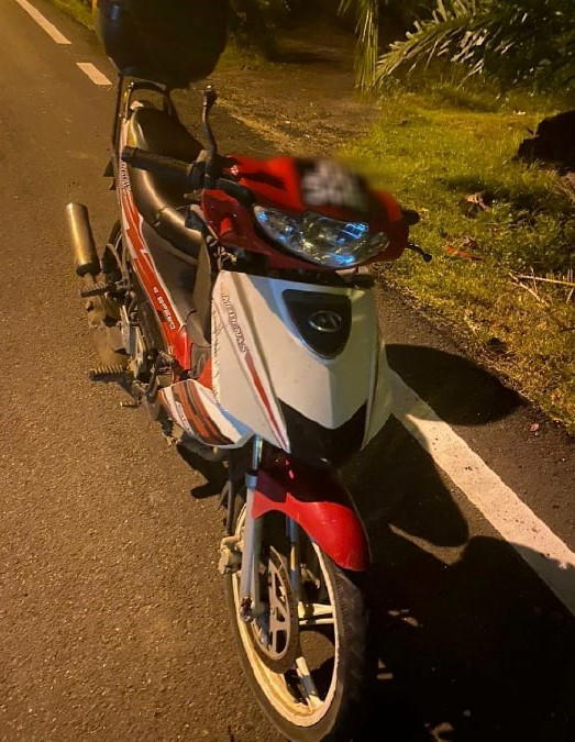 M'sian woman who was 6 months pregnant dies after motorcycle hits dog