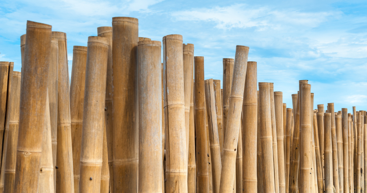 bamboo barrier