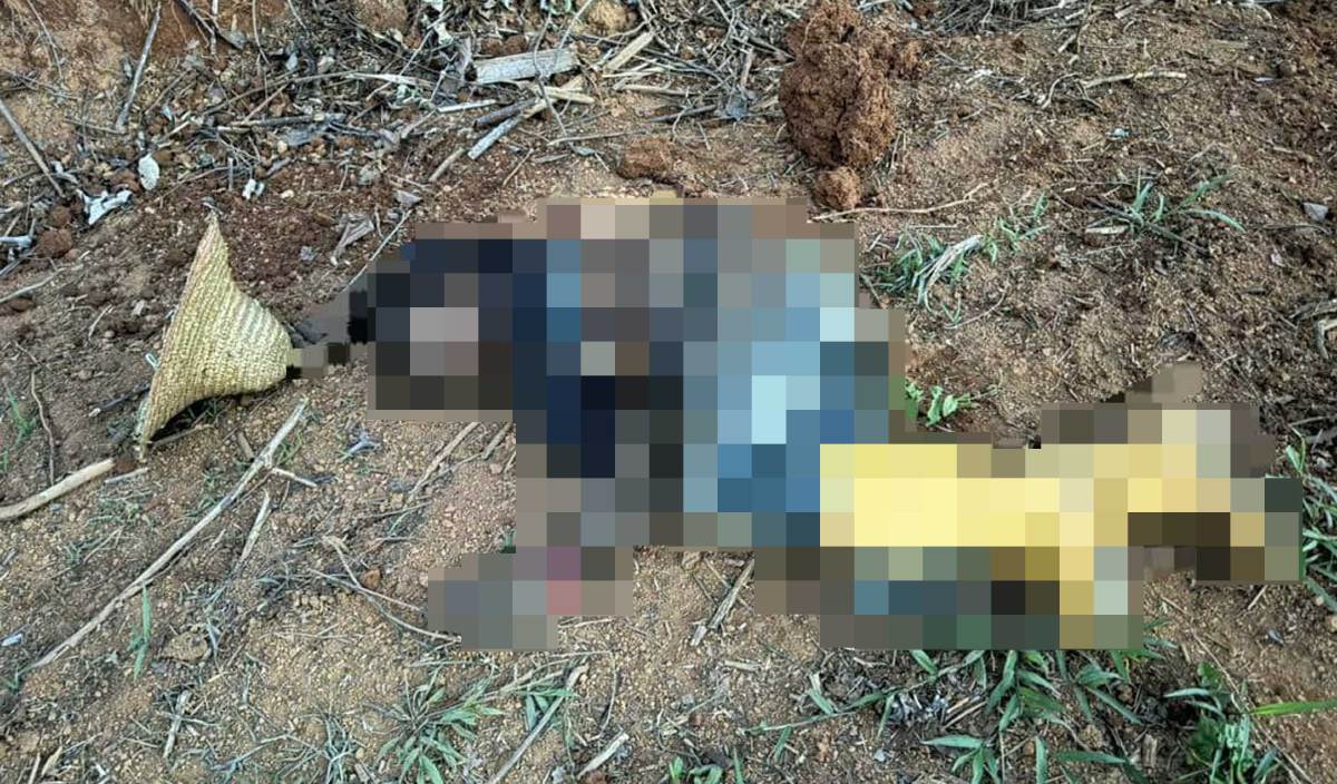 Bangla man killed by elephant in kelantan