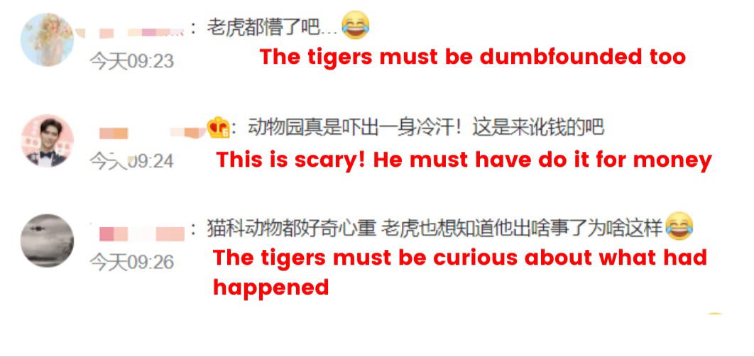 Chinese tourist ignores zoo staff's warning and provokes several white tigers, triggering widespread panic | weirdkaya