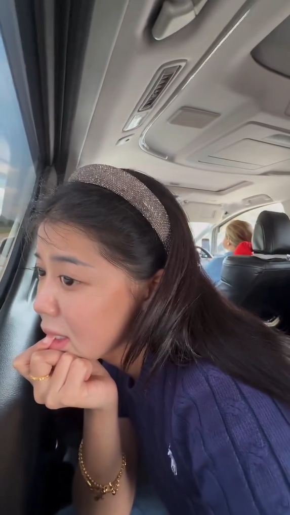 Belle looking on at traffic on highway