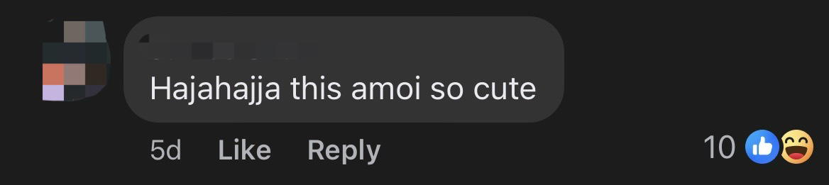 'I Wanna Scold Them!' — M'sian Influencer Winds Down Window & Yells At 'Mat Rempits' Doing 'Superman' Stunt On Highway comment 1