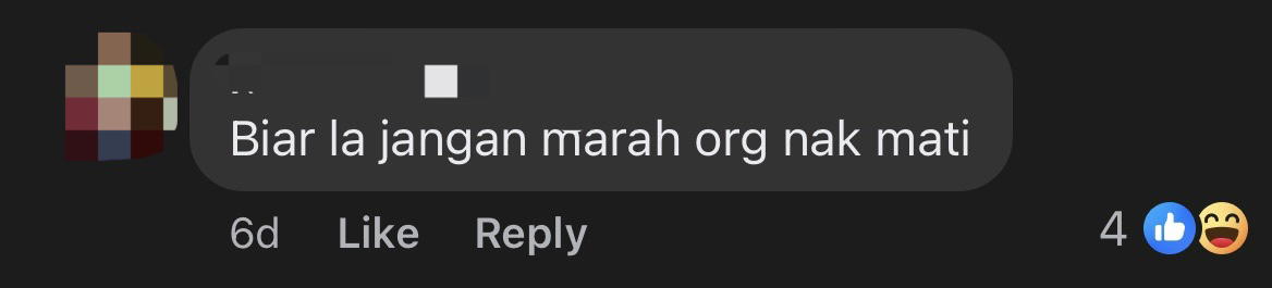 'I Wanna Scold Them!' — M'sian Influencer Winds Down Window & Yells At 'Mat Rempits' Doing 'Superman' Stunt On Highway comment 4