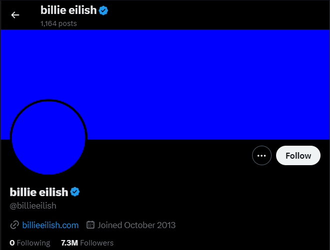 Billie eilish profile on x
