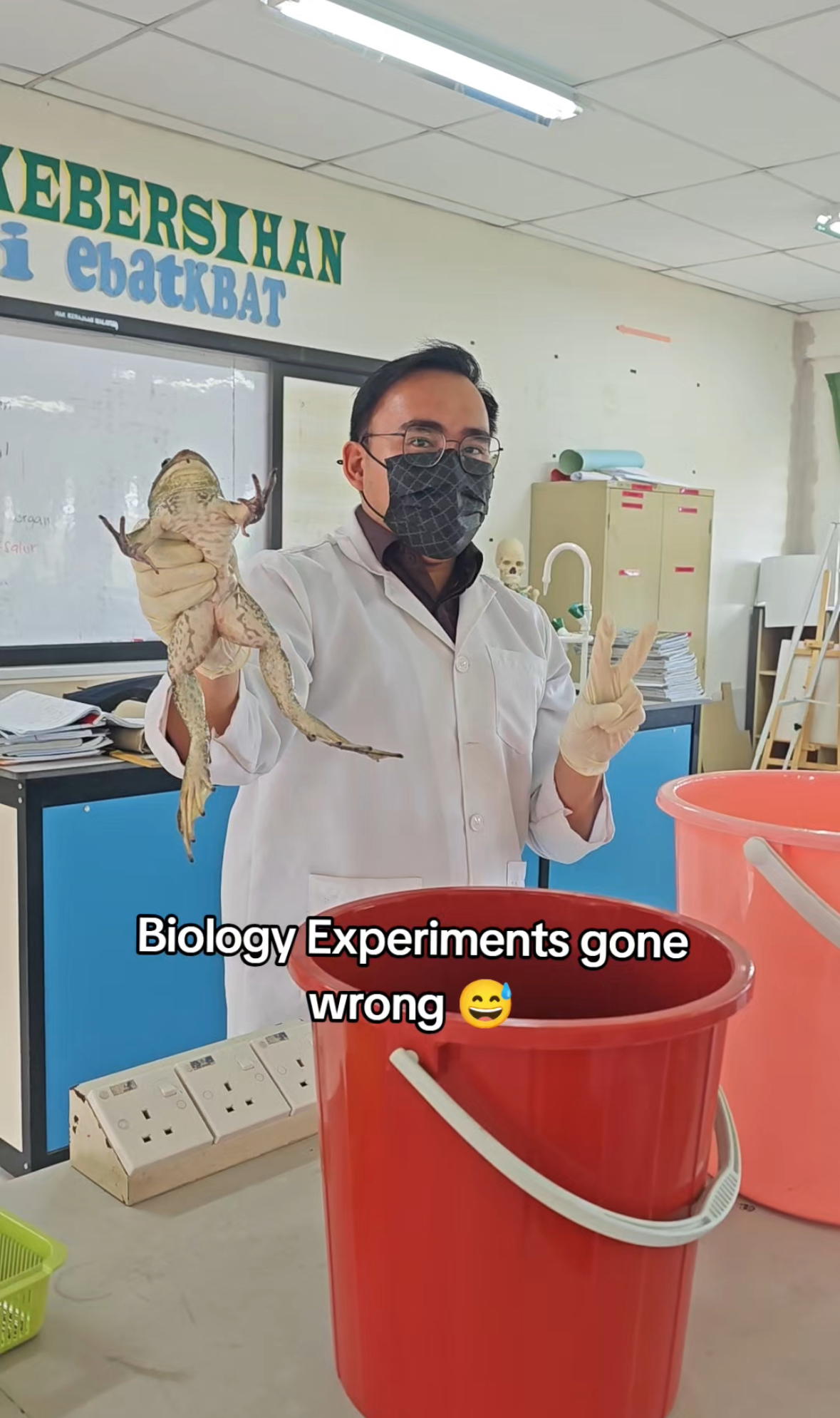 Biology Lesson Turns Into Frog Chase As Giant Amphibian Escapes Before Experiment Starts
