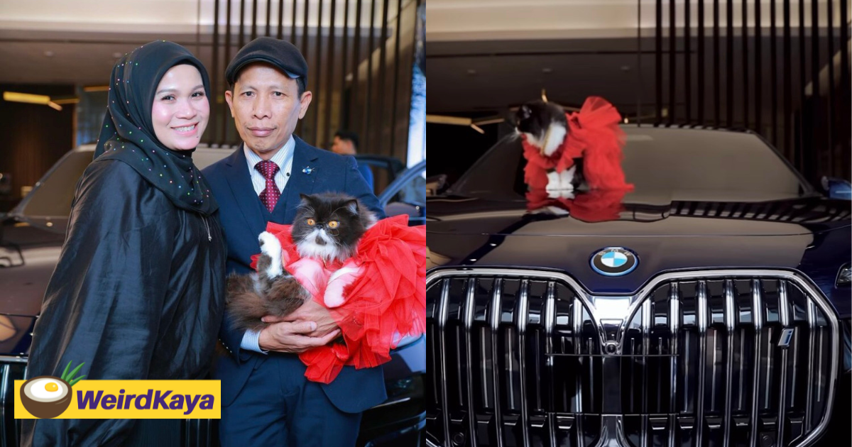 M'sian entrepreneur gifts bmw car to her pet cat, sparks debate online | weirdkaya