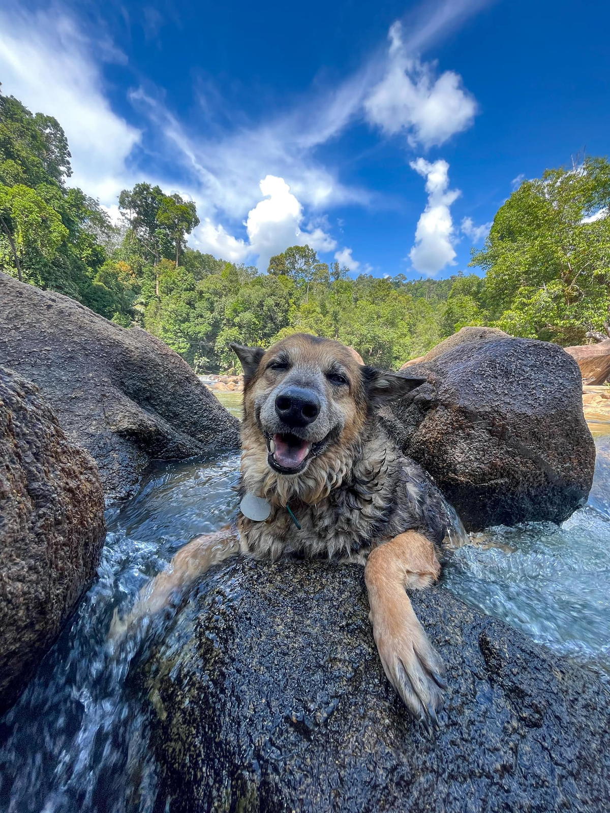 Bobby bathing