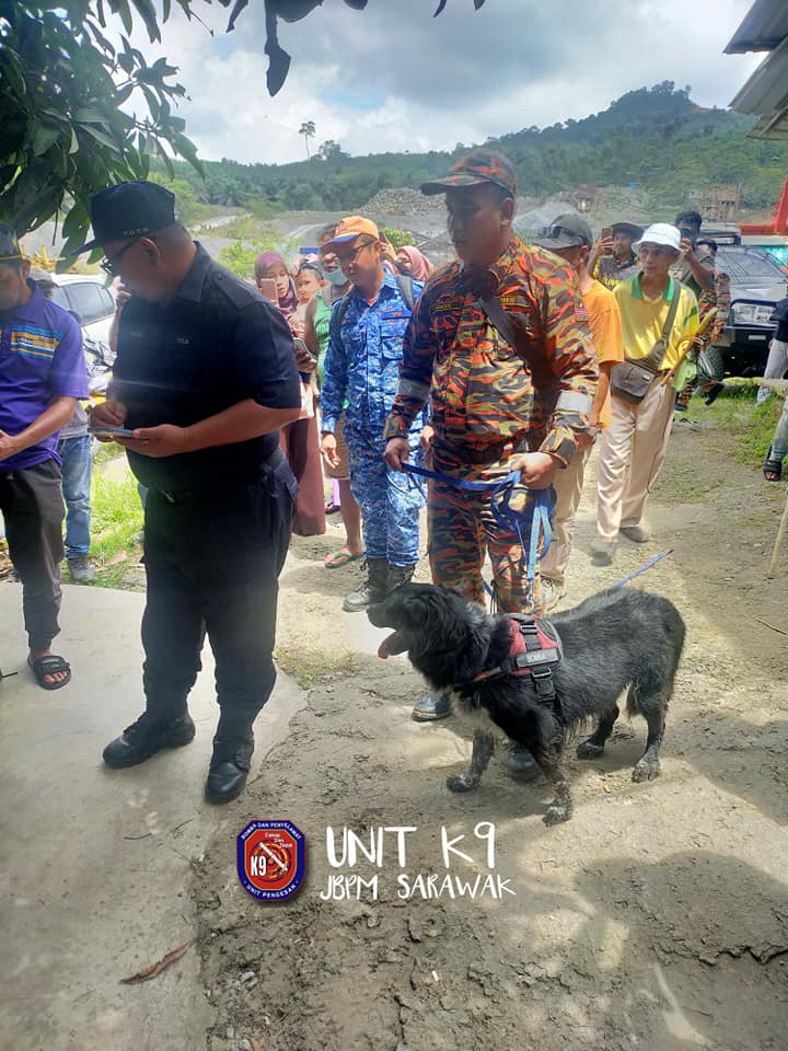 K9 sniffer dog daisy locates 2yo boy who got lost in the forest for 24 hours in sarawak | weirdkaya