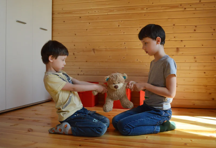 Brothers fighting over toy