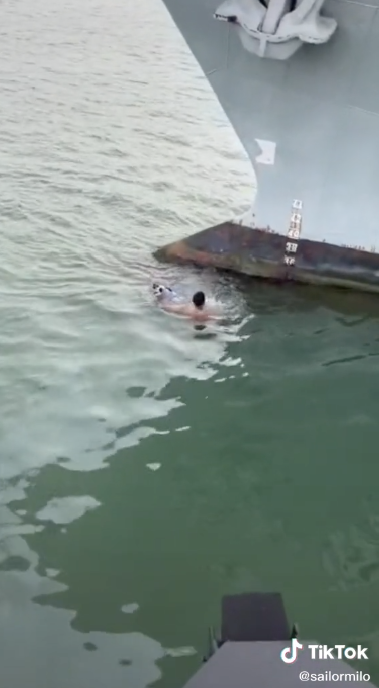 [video] sailor praised for jumping into sea to save cat trapped on ship's bow