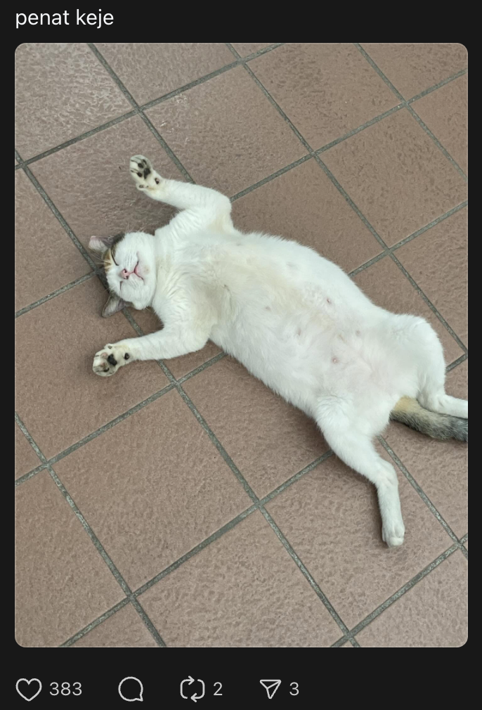 cat at lrt wangsa maju