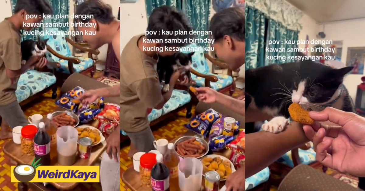 Cat Celebrates Birthday With Chicken Nuggets & Snacks, Leaves M'sians In Stitches