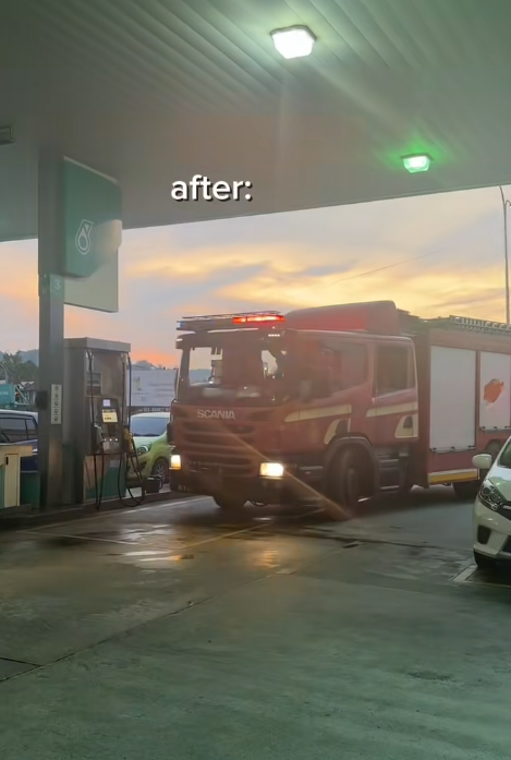 Cat lock itself inside (4)