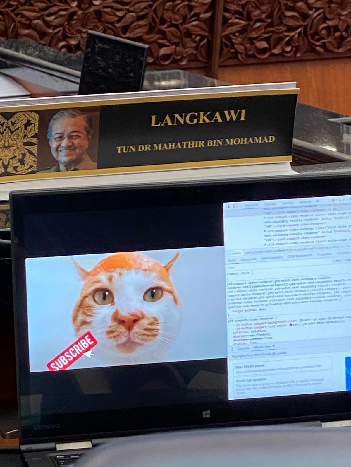 Cat meme in parliament