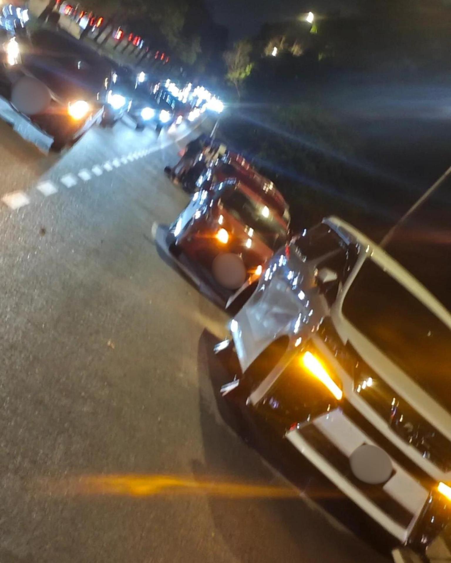 cat stopped in a row