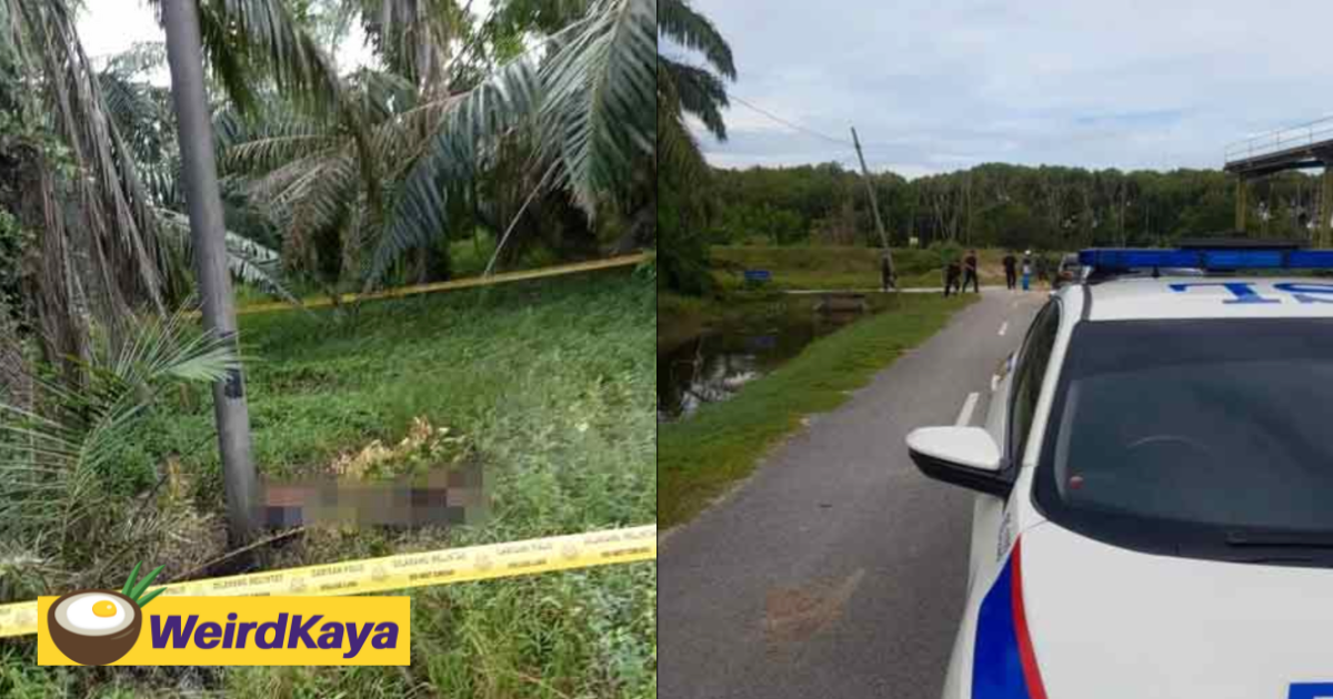 Charred body of m'sian woman found abandoned at palm oil plantation in kl  | weirdkaya