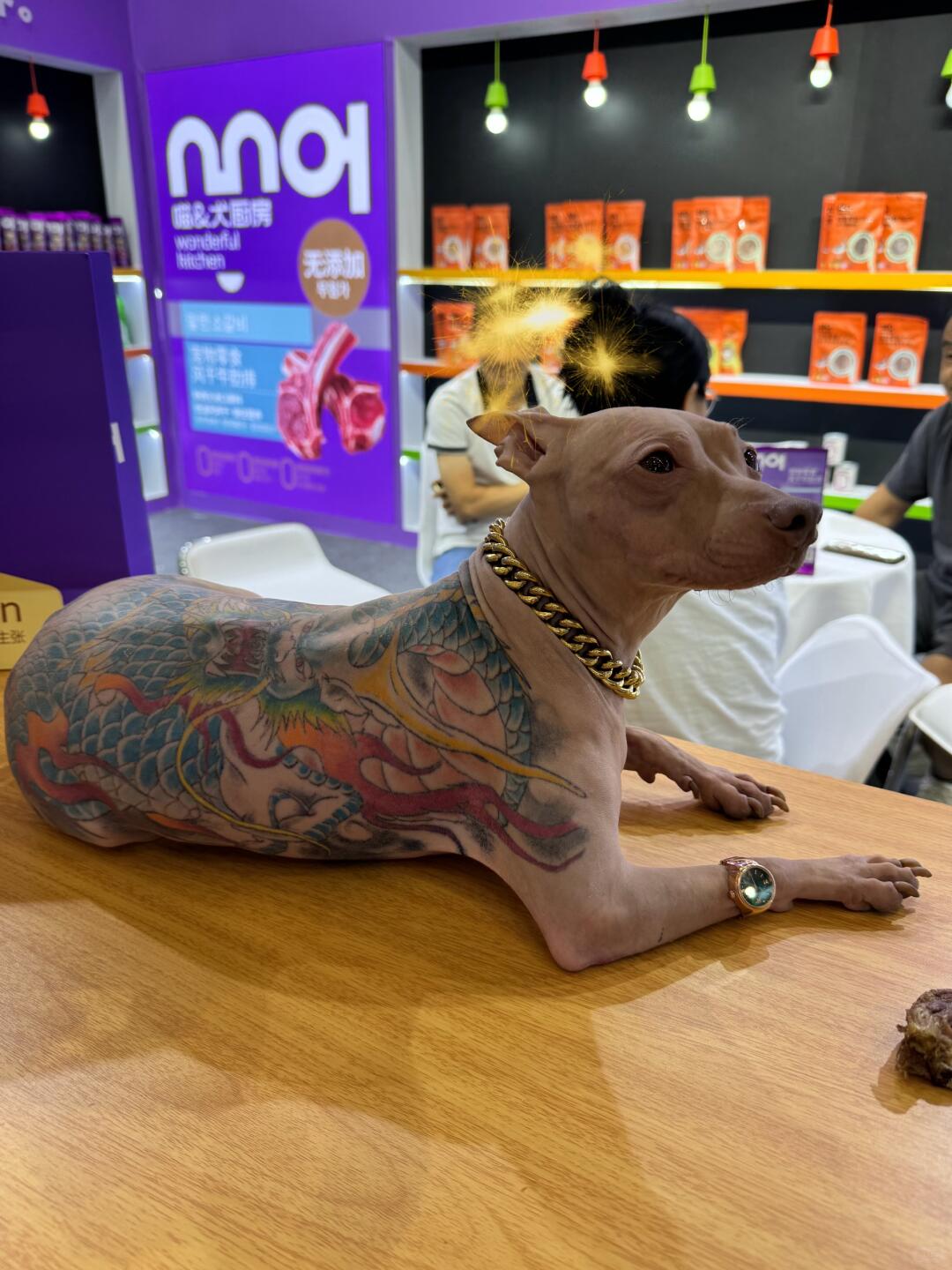 china man covers pet dog tattoo full body