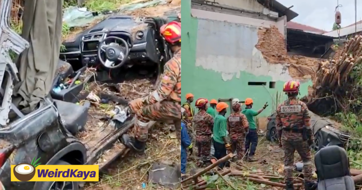 Chinese tourists killed after tree crushes their car in penang  | weirdkaya