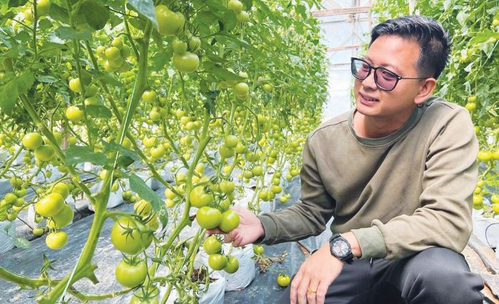 Chung chia khang showing his tomatoes