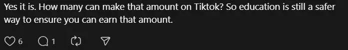 Comment on being a tiktok influencer (1)