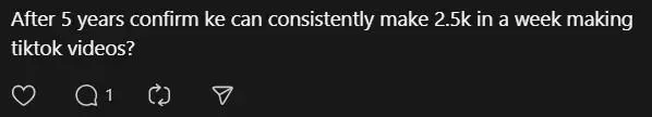 Comment on being a tiktok influencer (3)