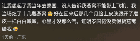 Comment on eating durain at airport (3)