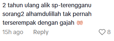 Comment on elephant attack (3)