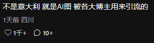 Comment on fake XHS promotion (3)