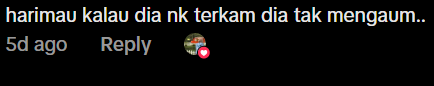 Comment on hiding from tiger during picnic (2)