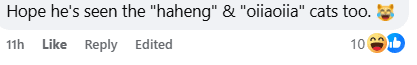 Comment on mahathir watching cat video (1)