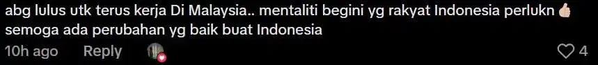 Comment on Malaysia development (3)