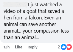 Comment on saving the cat (1)