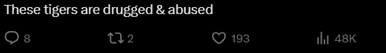 comment on thai tiger attack (3)