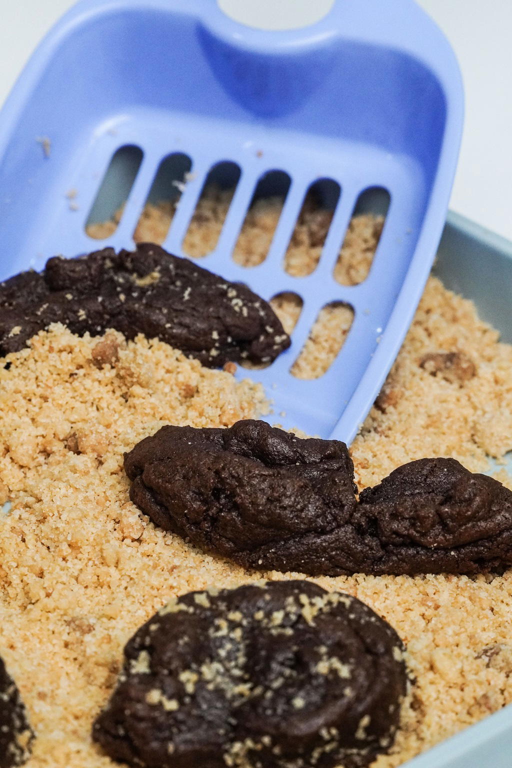 This sg cookie shop now sells brownies that literally look like.... Sh*t | weirdkaya