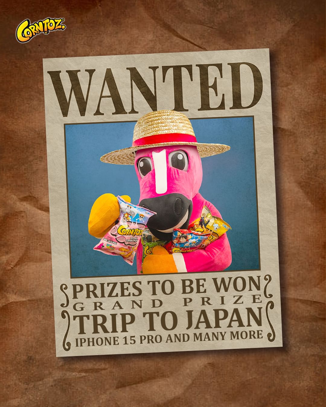 Are you the ultimate one piece fan? Prove it & win a trip to japan if you're lucky! | weirdkaya