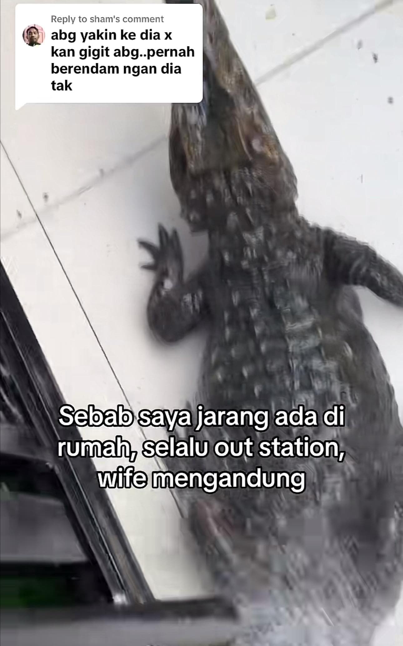 Crocodile owner explains why its hard for him to take care of his crocodiles