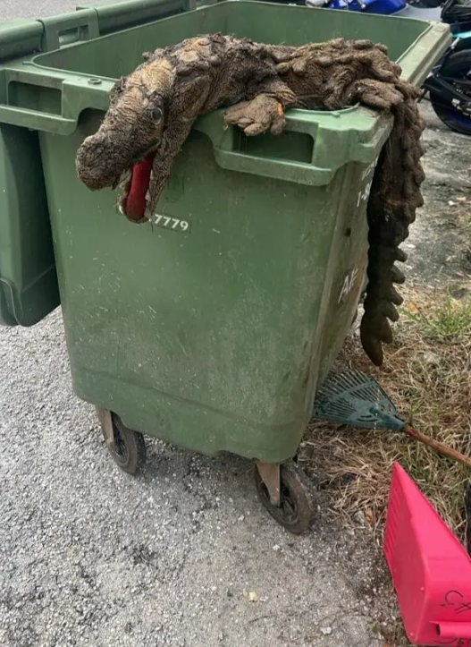 Crocodile plushy on top of a rubbish bin