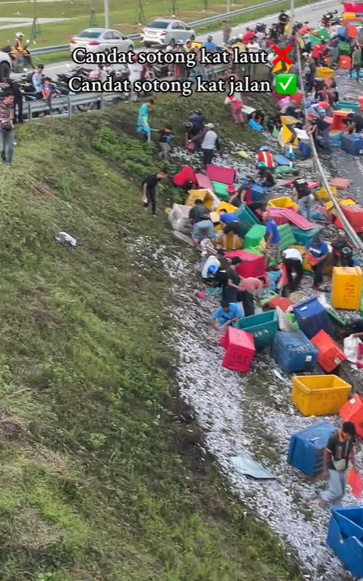 Crowd watches m'sians collecting sotong