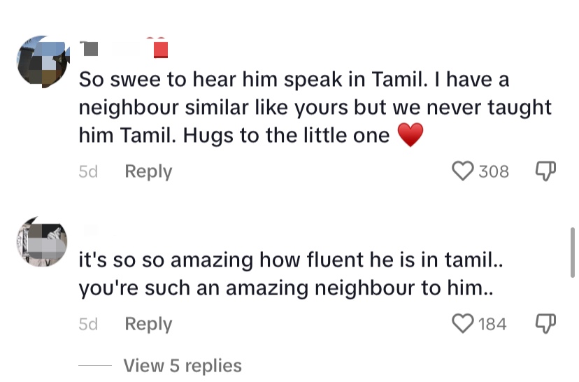 Heartwarming clip shows 4yo chinese kid speaking fluent tamil with indian neigbour - screenshot