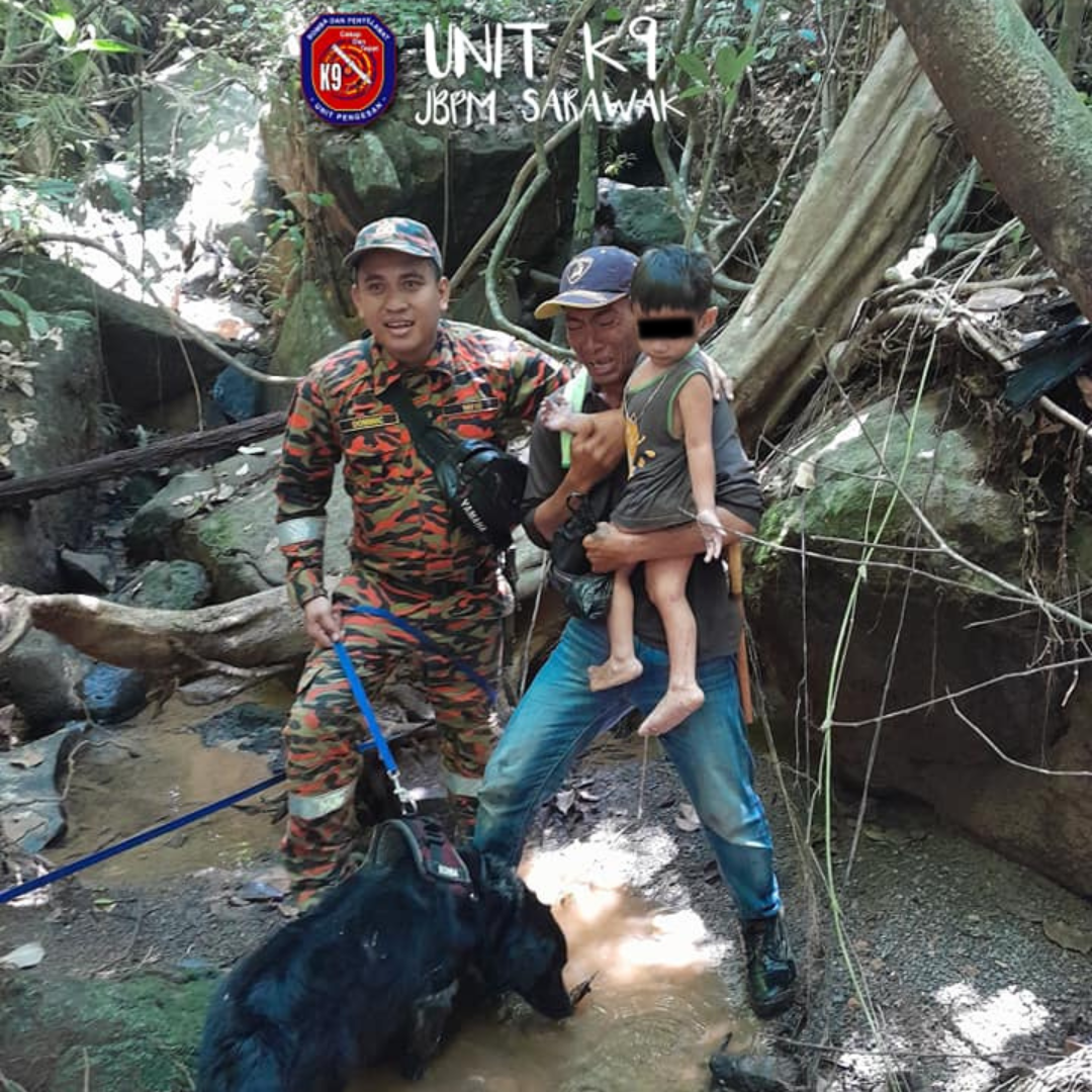 K9 sniffer dog daisy locates 2yo boy who got lost in the forest for 24 hours in sarawak | weirdkaya