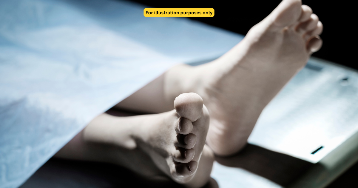 death body (2)