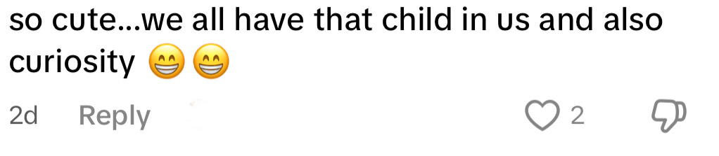 delivery rider plays on swing inner child comment 2
