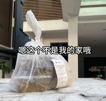 Delivery wrong address (4)