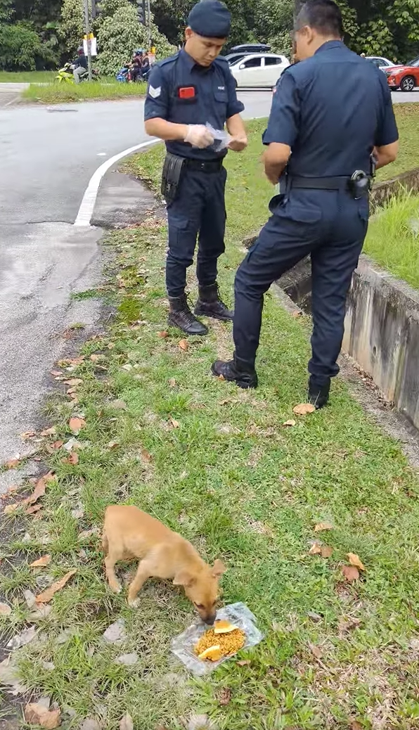 Malay m'sian police officer rescues puppy from drain, wins praise online