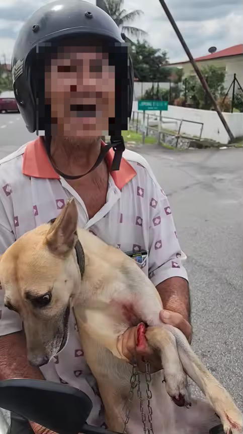 Dog abuse in Ipoh (1)