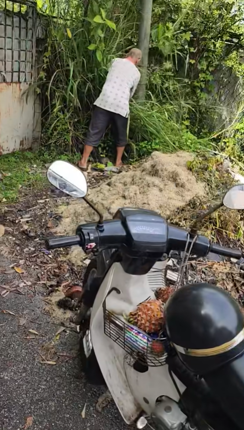 Dog abuse in Ipoh (3)